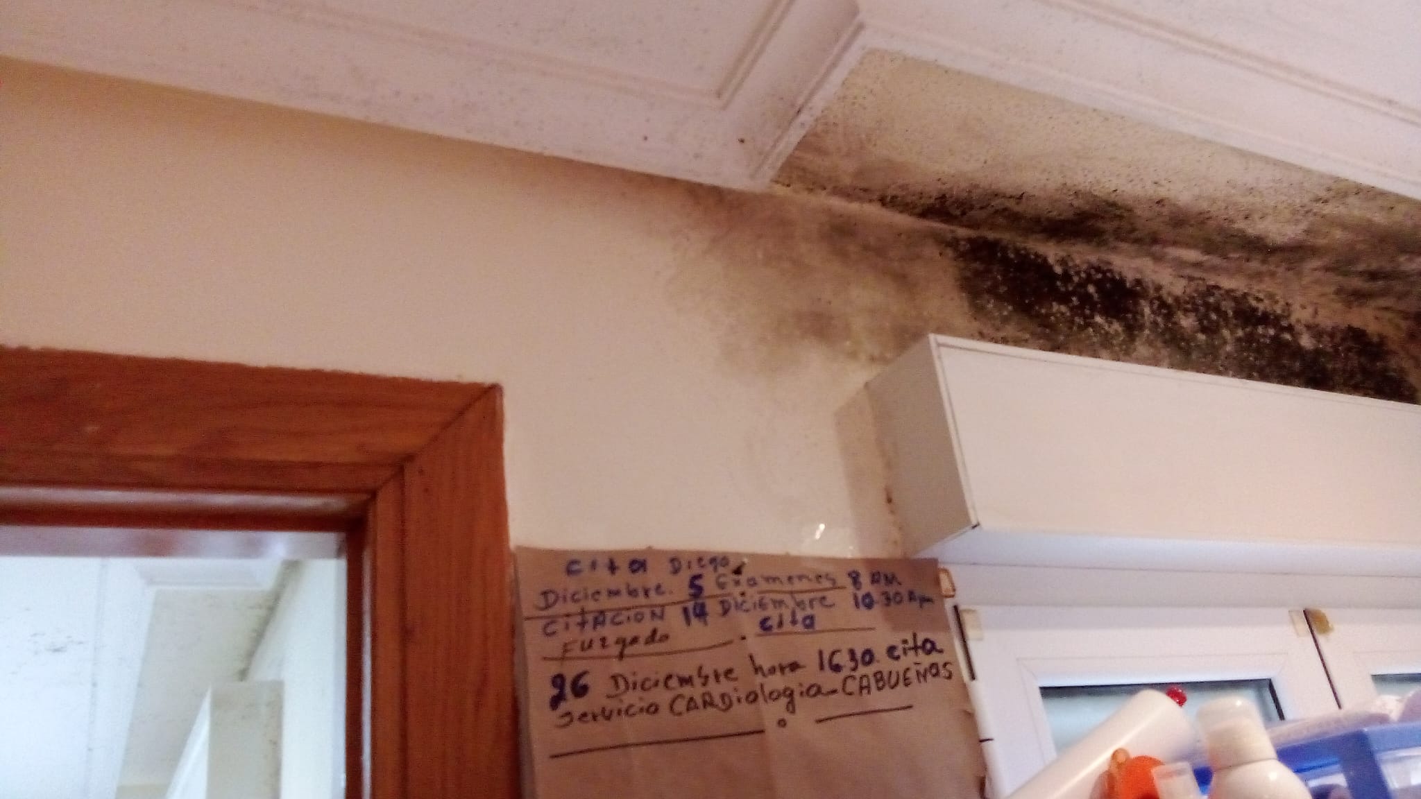 diseño responsive diseño responsive